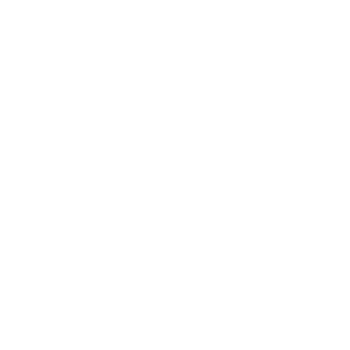 Outline of a megaphone.